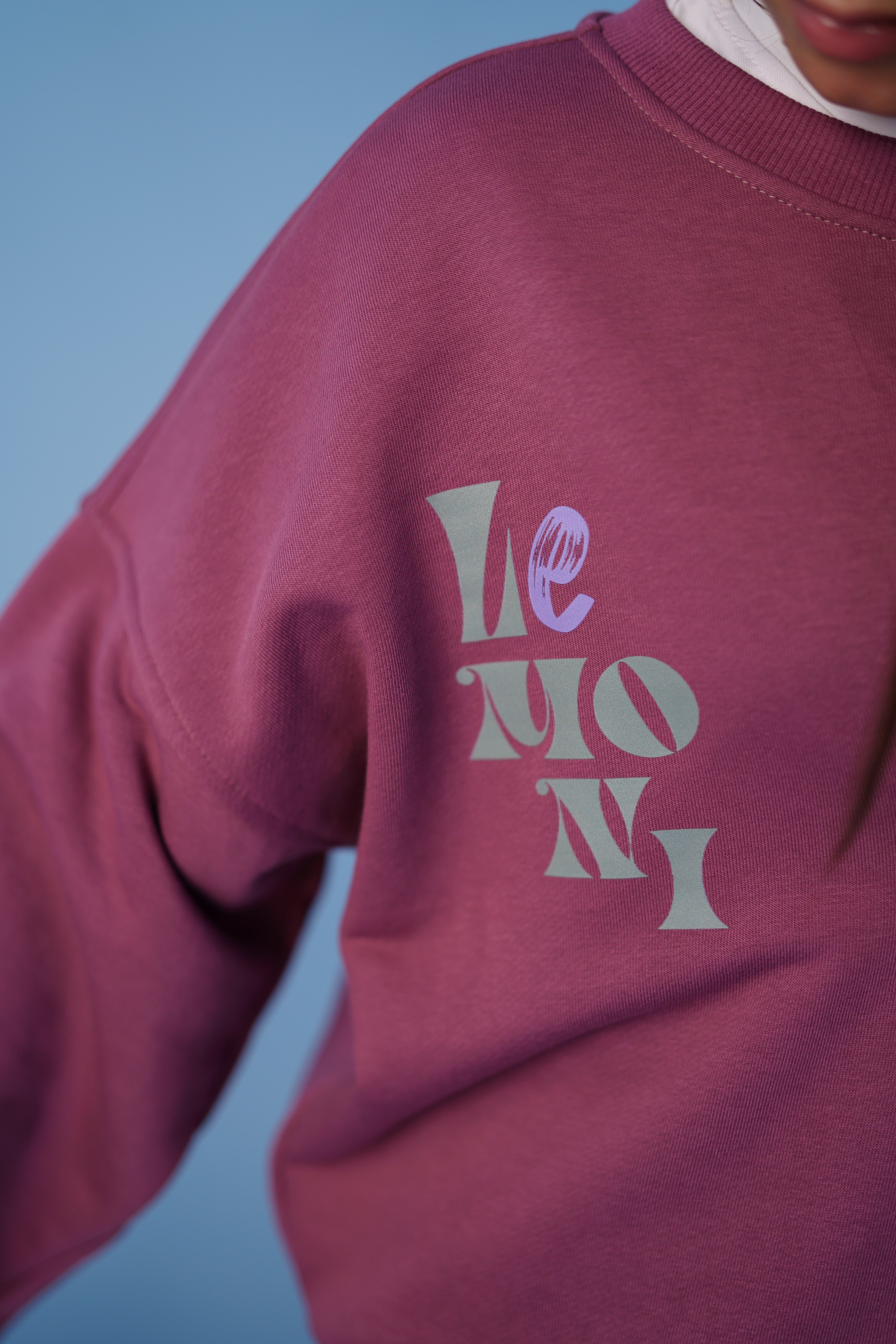 print on the frontside of the sweatshirt - part of the pink tracksuit by Lemoni